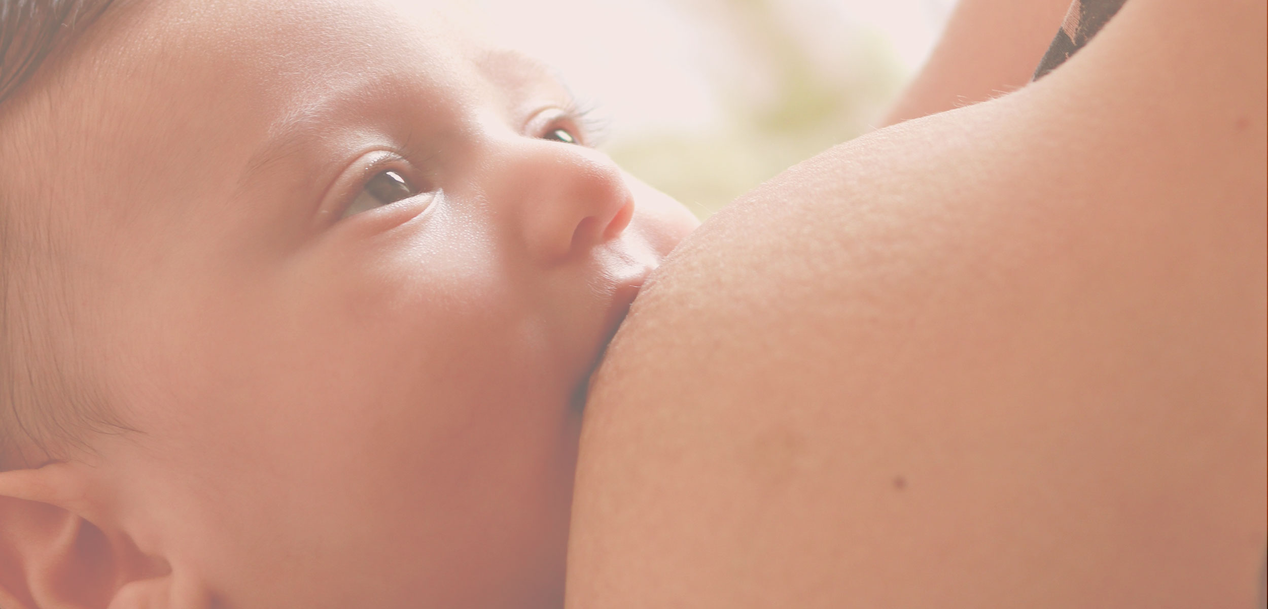 EG Formation allaitement officine expert référent Petite Enfance